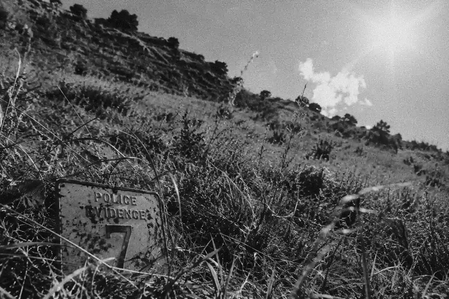 A weathered police evidence marker obscured by tall grass on a sunlit hillside, illustrating the 48-hour delay before the Vintém Hill recovery operation.